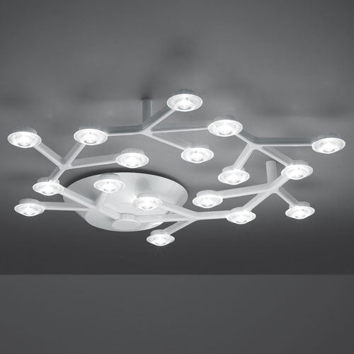 Creative Lights